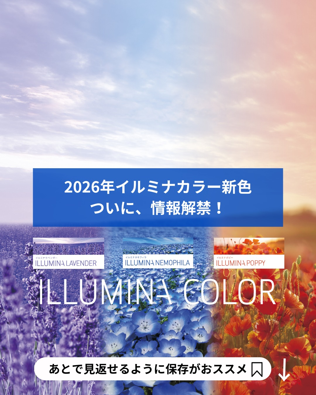 2026年最新】イルミナ新色ルミナスフラワーコレクション「ラベンダー